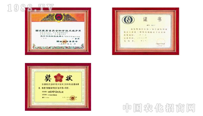 �������ţ��������Ƽ����޹�˾