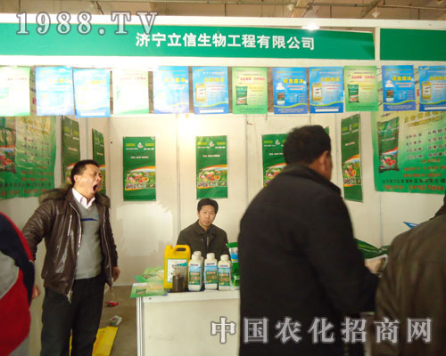 ������������-2011ʯ���fֲ��������չλ