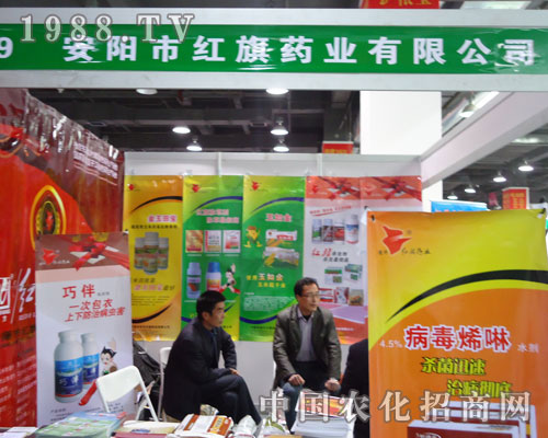 ��ꖼt��ˎ�I(y��)�ںӱ�ʡֲ��������������