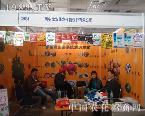 �߽��������r�A�r ����չ��ʢ�r