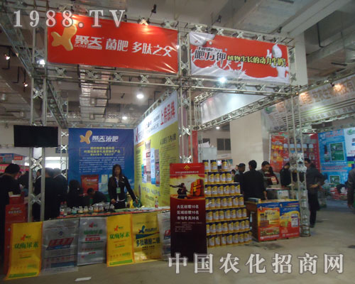 ������� ����֮��