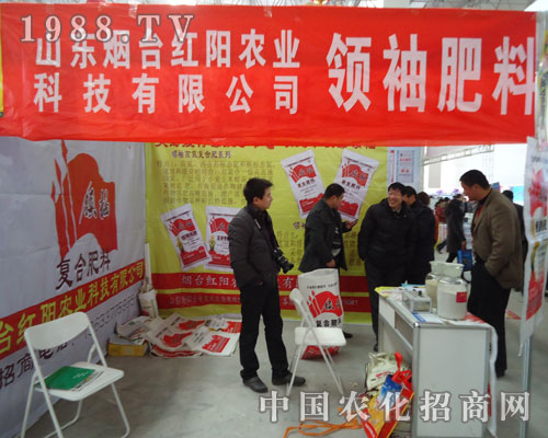 ���_(t��i)�t��r(n��ng)�I(y��)���Ͻ�