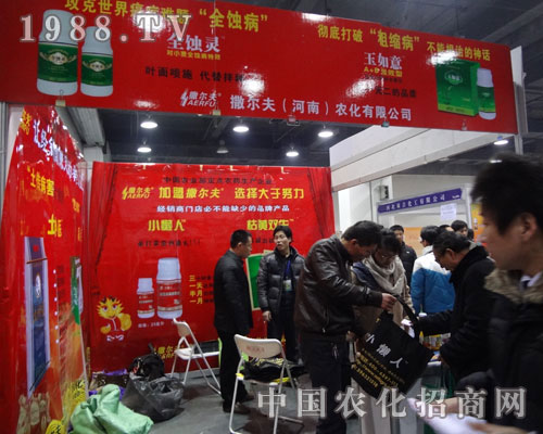 撒爾夫 讓經(jīng)銷商賺足的舉世雙星！