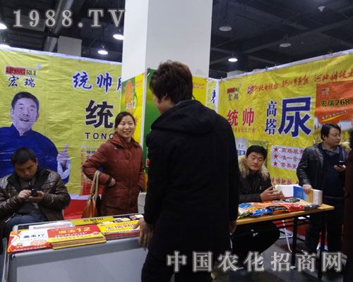 �ӱ�����˾�����I(y��)��ʯ���fֲ��������������