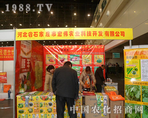 �ꂥ�r(n��ng)�I(y��)�ڵ�28��ֲ���p����(hu��)�o�҂�����o���@ϲ