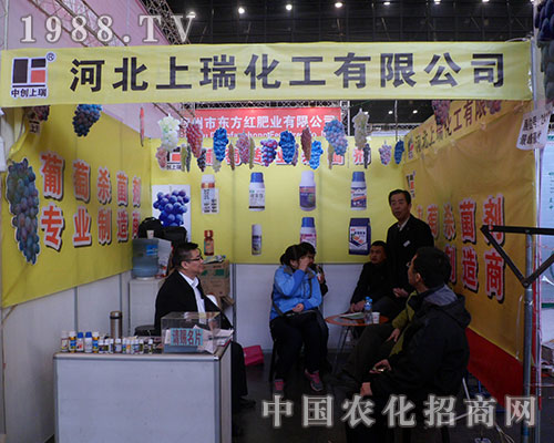 ���𻯹����F(xi��n)�ڵ�28�ú���ֲ����(hu��)��