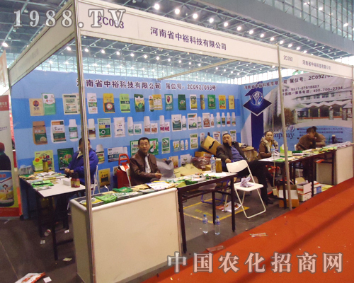 �����Ƽ������̈F(tu��n)�(du��)