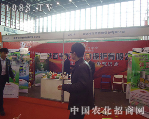 �f���湫˾չλ����չʾ