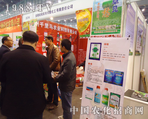 �d¡������ʮ�ˌú���ֲ���p����(hu��)���̻�