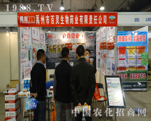 ���`����ˎ�I(y��)�x�S���c2013ɽ�|��(j��)��ֲ����