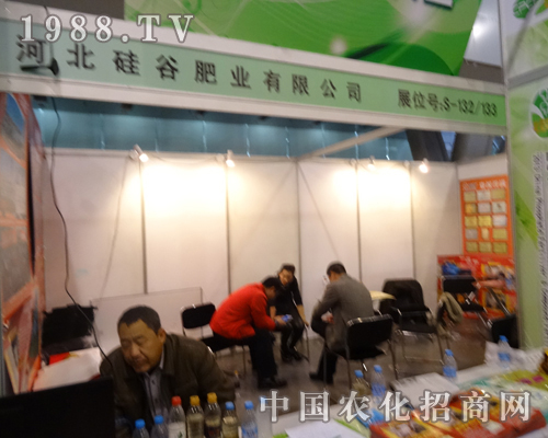 河北硅谷在2013全國磷復肥展覽會上與客戶洽談