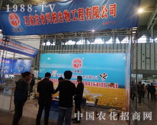 興柏生物在2013全國植保大會(huì)上認(rèn)真布置展館