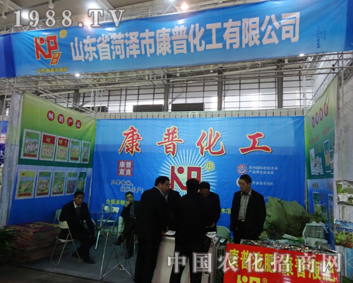 ���ջ����ڵ�29���Ͼ�ֲ�����ו��б���