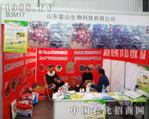 ɽ�|��ɽ�������M(j��n)2014ȫ��(gu��)ֲ����(hu��)