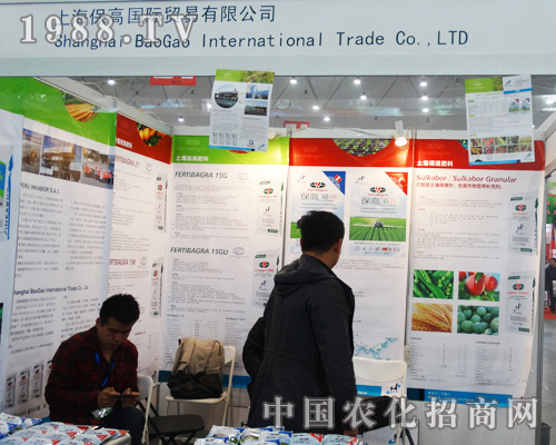 �Ϻ������Q(m��o)�׹�˾�ɹ����ӵ���ʮ��ȫ��ֲ����(hu��)