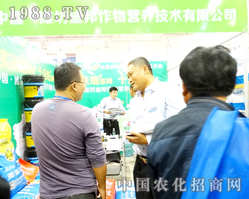 �ϰ�����2015ɽ�|ֲ����(hu��)