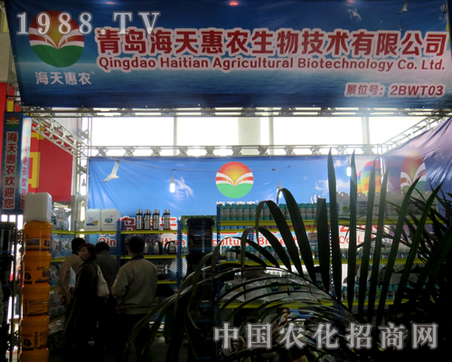 2015ɽ�|ֲ����(hu��)��������r(n��ng)���ˣ�