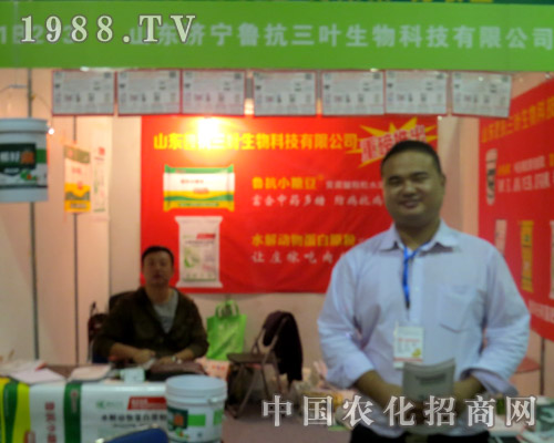 ��(j��)���������~��2015ɽ�|ֲ����(hu��)�ς�����A