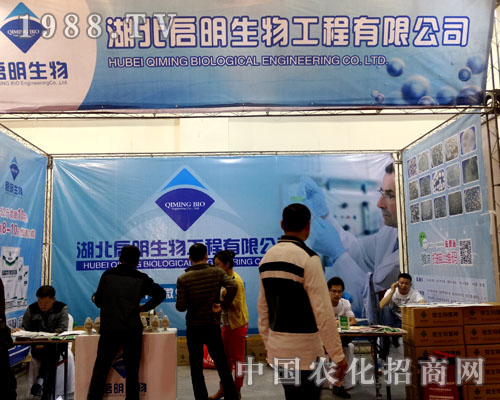 ������������2015����ֲ���p������