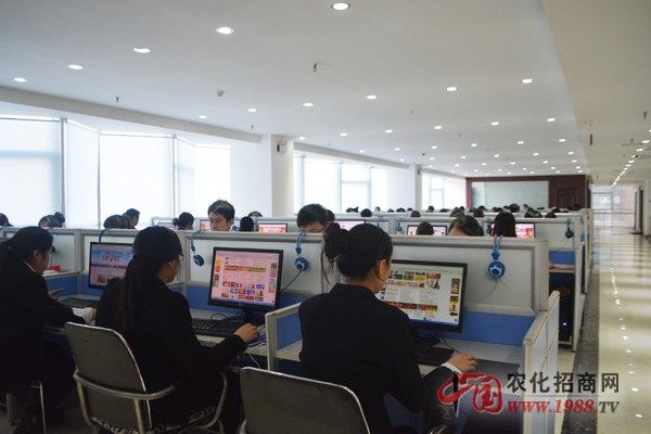 2015������