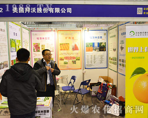 �������ֹɷ����޹�˾��ȭ����2016�Ͼ�ȫ��ֲ����(hu��)