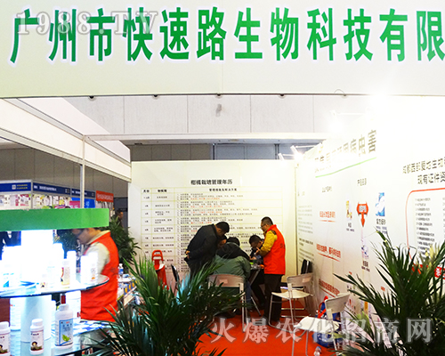 �V�ݿ���·�������չ��32���Ͼ�ֲ����