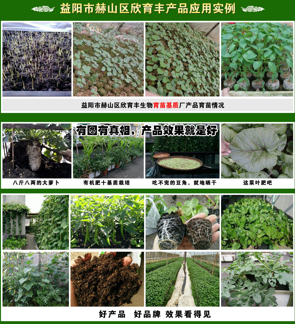 ���(y��ng)�к�ɽ�^(q��)�����S����������|(zh��)�S