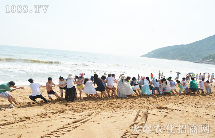 �ĕ������ĵط������B�u