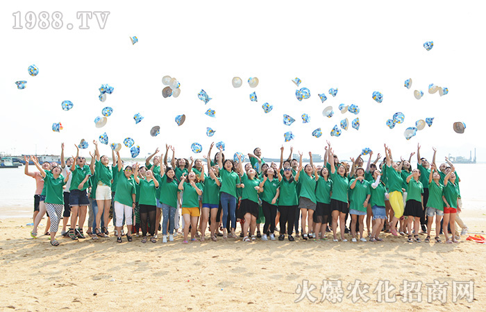 2016�B�Ƹ�֮�У������������p���� (t��ng)�󺣵���