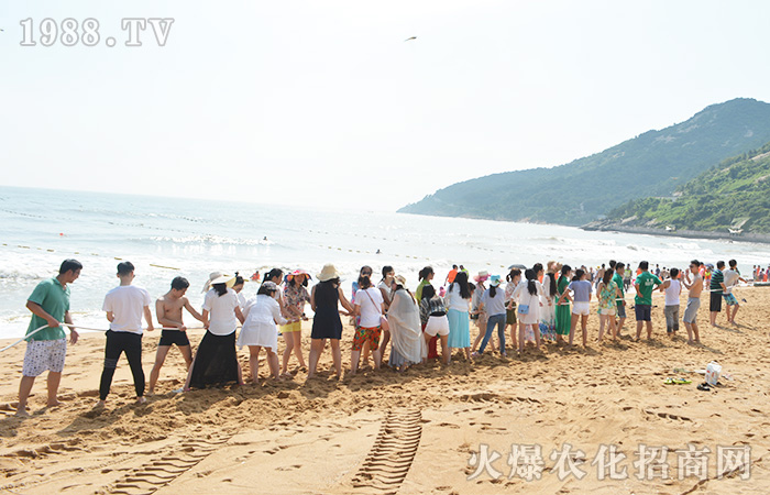 ���ܴ������w����