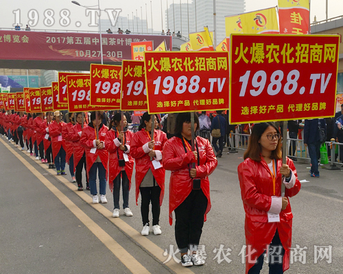 2017��ɽ�|ֲ�������r(n��ng)������Ч������