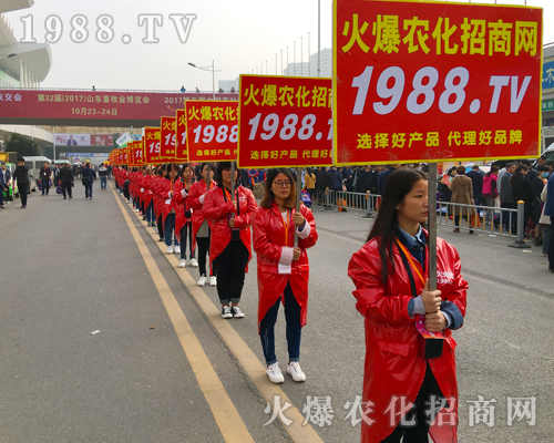 ʮ��𱬣�ʮ��������2017��ɽ�|ֲ���������r(n��ng)���W(w��ng)���ʳ�����