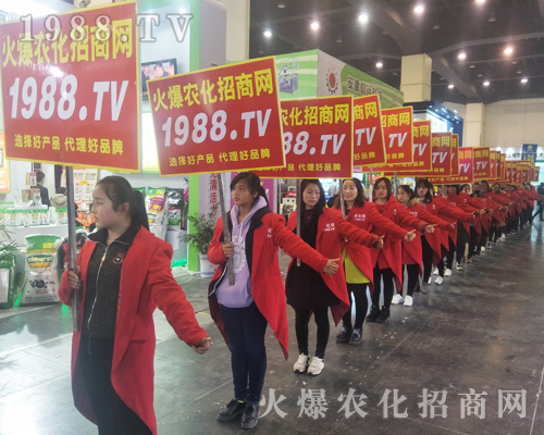 2017����Ϸ����p������1988.TV�����»���