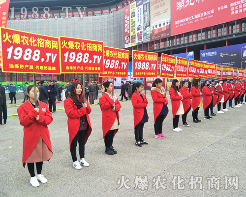 ���r(n��ng)���W(w��ng)�y��2017���ݷ��ϕ���������(zh��n)��