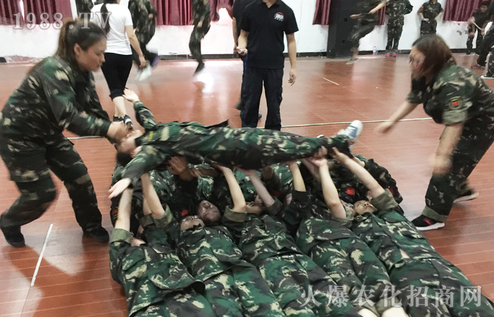 ͻ�ƘO������������