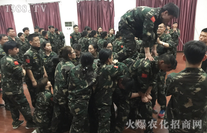 ��Ҫ�M��������ֻҪȫ���Ը���