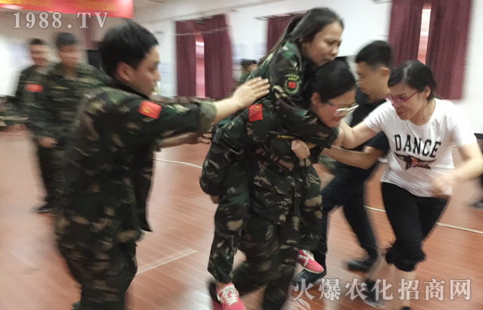 �ԉ����R���Ժ���Ȫ��������������ؓ(f��)���A