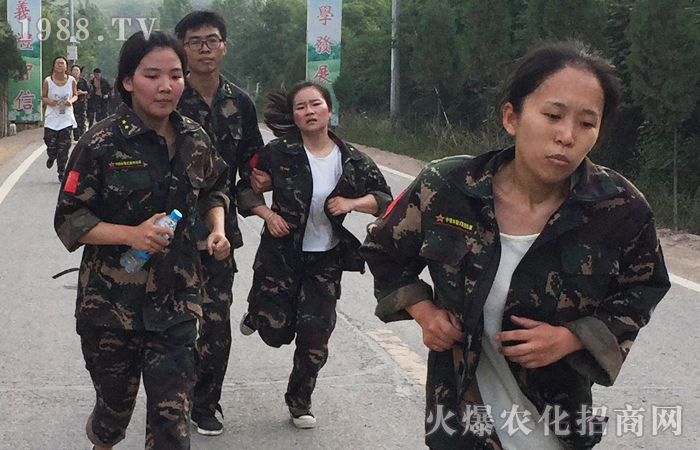 �ԉ����R���Ժ���Ȫ��������������ؓ(f��)���A