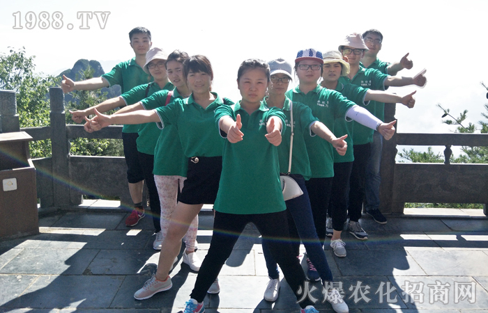 ����ɽ��������������ɽ���p����