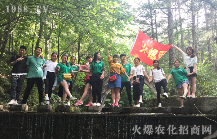 ����ɽ�ϵ�һĨ���