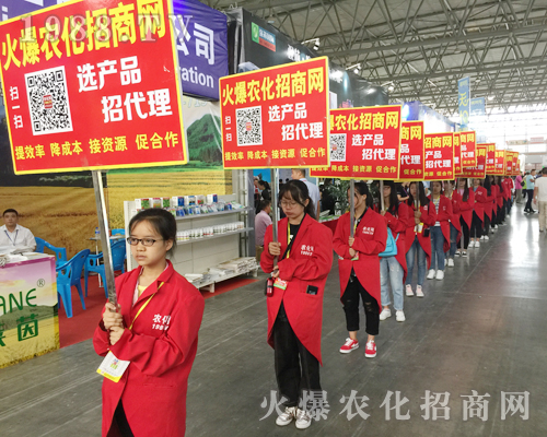 2017�������r(n��ng)�Y�������r(n��ng)���W(w��ng)Ҋ�C�ИI(y��)ʢ���ل�(chu��ng)�ѿ���