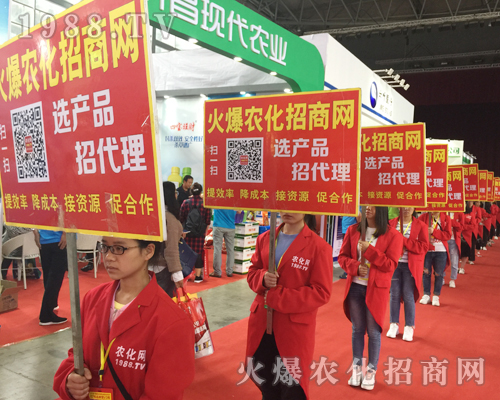 2017�����r�Y���[�������r���W�P�����w��