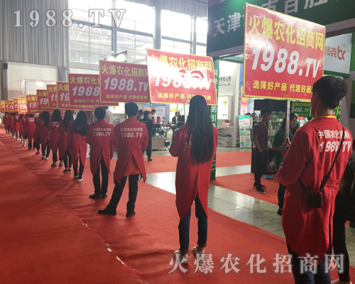  2017�����r(n��ng)�Y����1988.TV�������F(xi��n)�����P(gu��n)ע��