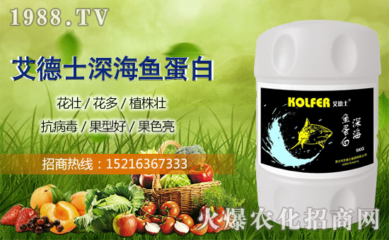 ӭ�´������굽������ʿף����µ�һ������¶��!Ц�ݶ��!