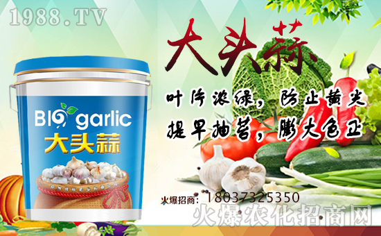 �����ƷʘI(y��)��ף������µ�һ����ؔԴ�L�L����