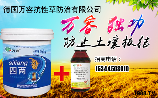 �����f�ݡ�ȫ�w�T����ףȫ����(j��ng)�N�����w����������l(f��)��ؔ(c��i)��