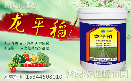 �����f�ݡ�ȫ�w�T����ףȫ����(j��ng)�N�����w����������l(f��)��ؔ(c��i)��