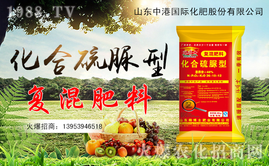 ���иۻ��ʡ�ףȫ��(gu��)���ѹ������������������