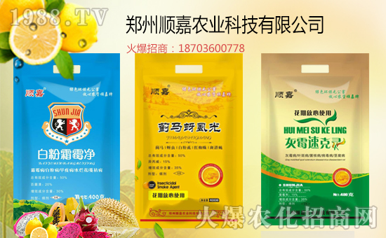 ��혼��r(n��ng)�I(y��)��ף��ҹ��������w�������f��������