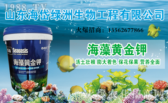 ����᷾G�ޡ�ף������옷���Ҹ��d�d��